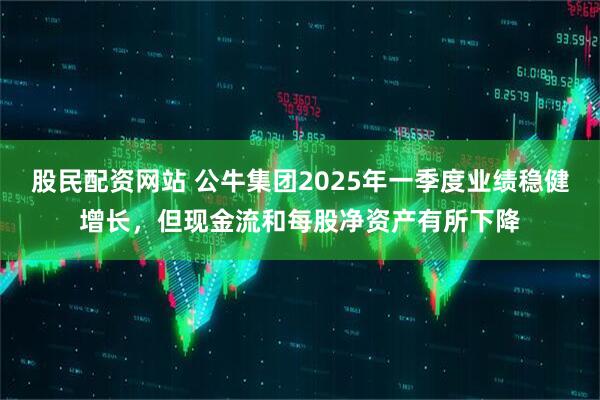 股民配资网站 公牛集团2025年一季度业绩稳健增长，但现金流和每股净资产有所下降