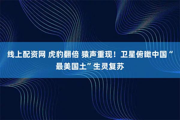 线上配资网 虎豹翻倍 猿声重现！卫星俯瞰中国“最美国土”生灵复苏