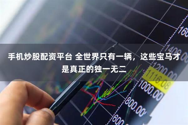 手机炒股配资平台 全世界只有一辆，这些宝马才是真正的独一无二